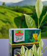 Çaykur Yeşil Çay Süzen Poşet (Sade) 40 gr – Rizeden Çay